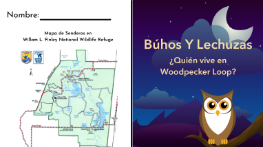 Owl Activity Booklet WWFD 2022 Spanish