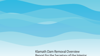 Klamath Dam Removal Overview Report for the Secretary of the Interior an Assessment of Science and Technical Information, Version 1.1, March 2013