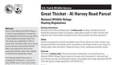 Great_Thicket_HUNT_BROCHURE_Fully_Compliant_2022.pdf