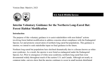 Interim Voluntary Guidance for the Northern Long-Eared Bat: Forest Habitat Modification