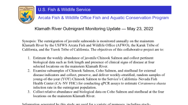 Klamath River Outmigrant Monitoring Update — May 23, 2022