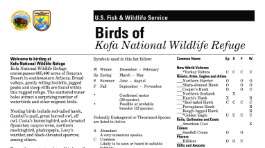 Birds of Kofa National Wildlife Refuge