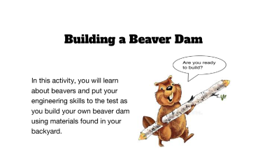 Building a Beaver Dam _ Winter Wildlife Field Days 2022