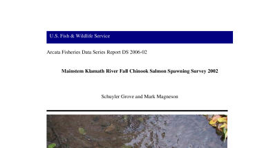 Mainstem Klamath River Fall Chinook Salmon Spawning Survey, 2002 