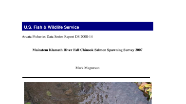 Mainstem Klamath River Fall Chinook Salmon Spawning Survey, 2007