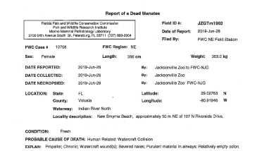DOI-FWS-2021-005156 Manatee Necropsy 2019 Final RPT 