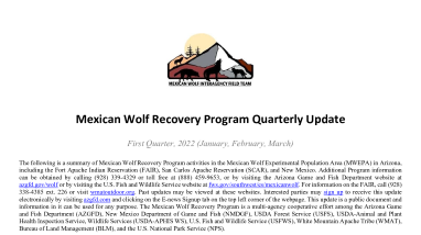 Mexican Wolf Quarterly Report Q1 2022