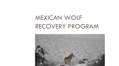 Mexican wolf 2019 annual progress report