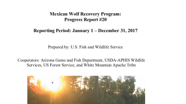 Mexican wolf 2017 annual progress report