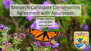 Monarch CCAA Presentation for County Engineer's Workshop Feb 2023.pdf