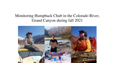 Monitoring Humpback Chub in the Colorado River in Grand Canyon During fall 2021.pdf