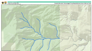 MYLF Murray Creek Reestablishment area