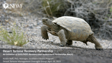 2022-04-26 (4a) NFWF Desert Tortoise Recovery Partnership presentation