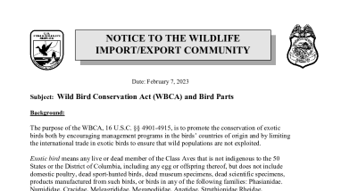 OLE Public Bulletin - Wild Bird Conservation Act (WBCA) and Bird Parts 02-08- 2023.pdf