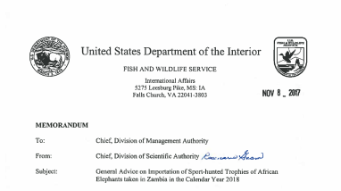 Elephant Trophy Import Material