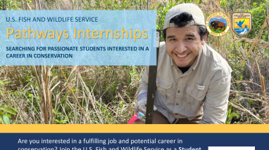 Pathways Internship Recruitment