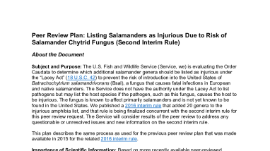 Peer Review Plan: Listing Salamanders as Injurious Due to Risk of Salamander Chytrid Fungus (Second Interim Rule)