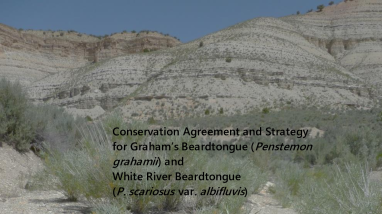 UT-penstemon-conservation-agreement-2014.pdf