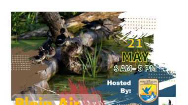 Plein Air Paint Out 2022