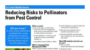 LCFWCO - Avoid or Limit Pesticide Use