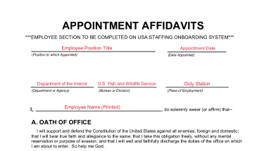 Sample Appointment Affidavit SF-61