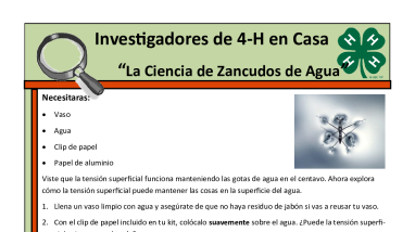 WWFD 2023 Science of Water Striders Bilingual Activity