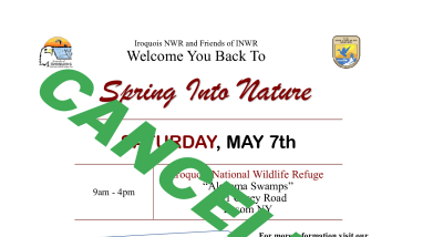 Spring Into Nature flyer cancelled