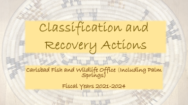 Species Listing and Recovery Update