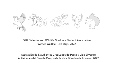 Strawberry DNA Whale Activities_ WWFD 2022