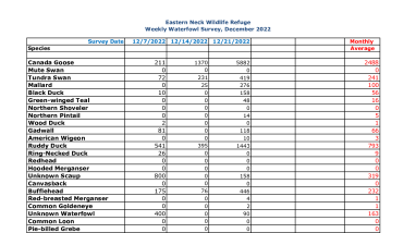 ENNWR Waterfowl Survey December 2022