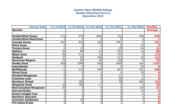 ENNWR Waterfowl Survey November 2022