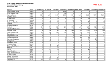 BNWR Fall 2023 Waterfowl Survey