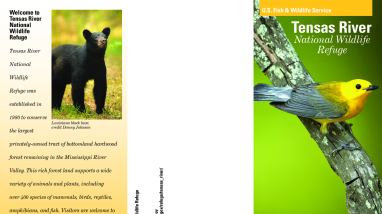 Tensas River NWR Brochures