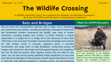 The Wildlife Crossing Volume 1