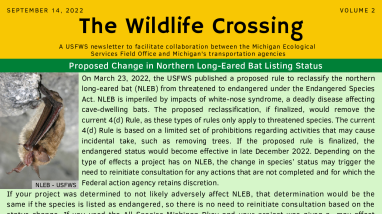 The Wildlife Crossing Volume 2
