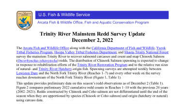 Trinity River Redd Survey Update - December 2, 2022