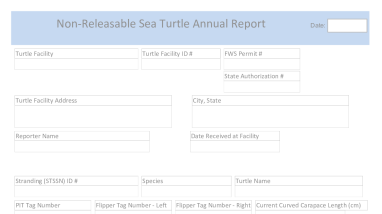 USFWS-Sea-Turtle-Care-Maintenance-Appendix_B_Non-Releasable_Sea_Turtle_Annual_Report_V3.pdf