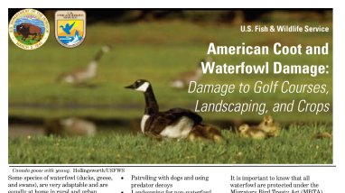 Waterfowl damage.pdf