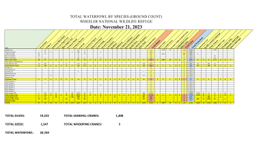 Wheeler NWR - Waterfowl Count 11-21-23.pdf