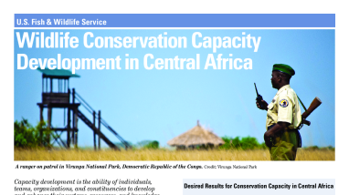 Wildlife Conservation Capacity Development in Central Africa