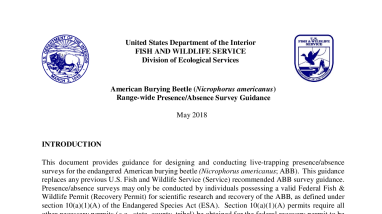 Invertebrates Protocols