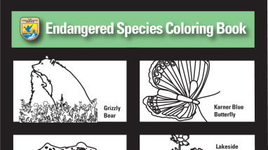 Endangered Species Coloring Book