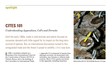 CITES 101