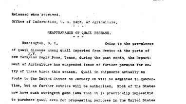 Reappearance of Quail Disease January 29, 1916