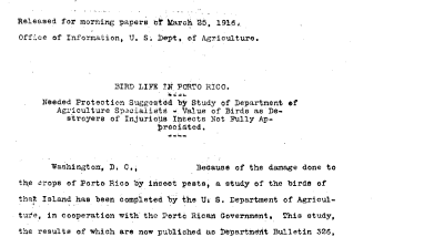 Bird Life in Porto Rico (Puerto Rico) March 25, 1916