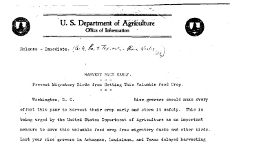 Harvest Rice Early August 20, 1918