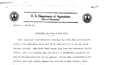 Waterfowl Die From Eating Shot August 12, 1919