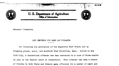 Jail Sentence for Game Law Violator December 23,1919