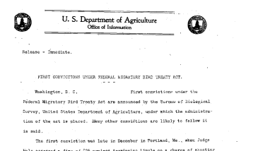 First Convictions Under Federal Migratory Bird Treaty Act December 14, 1920