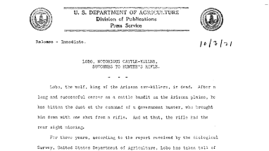 Lobo, Notorious Cattle-Killer, Succumbs to Hunter's Rifle October 3, 1921